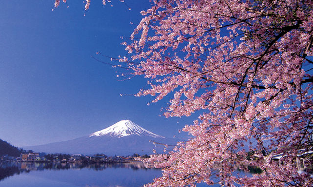 Tour tham quan Núi Phú Sĩ và Hakone - từ Tokyo